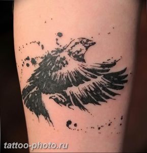 рисунка тату воробей 03.12.2018 №053 - photo tattoo sparrow - tattoo-photo.ru